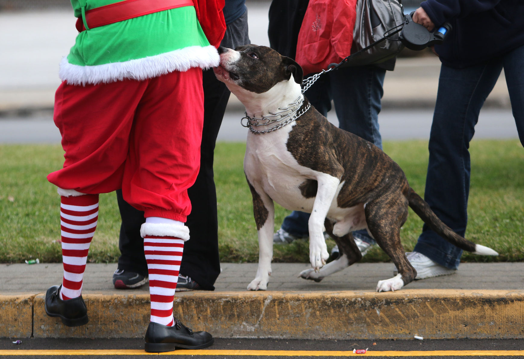 Hammond's holiday parade